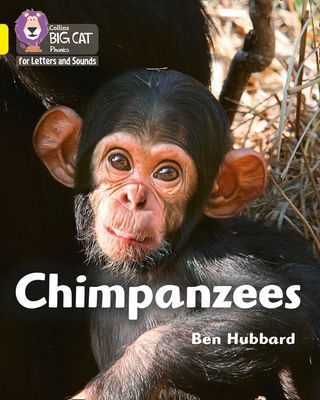 Chimpanzees - Band 3/Yellow (Hubbard Ben)(Paperback / softback)
