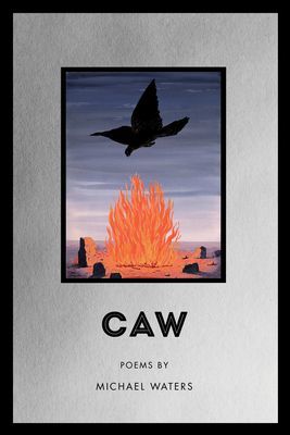 Caw (Waters Michael)(Paperback / softback)