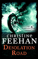 Desolation Road (Feehan Christine)(Paperback / softback)