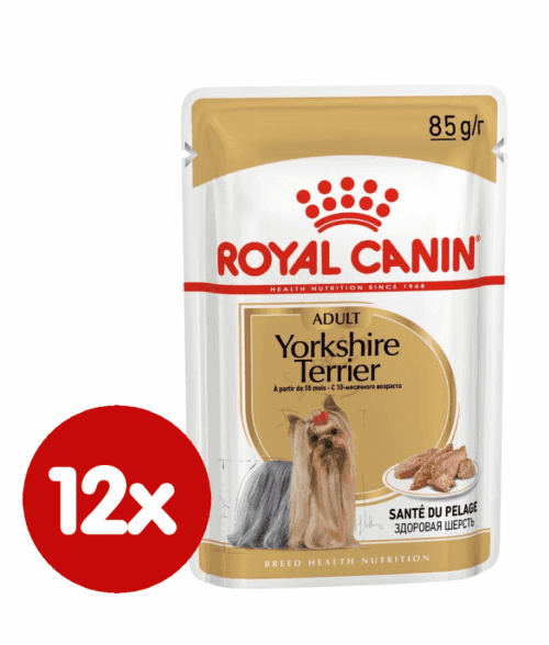 Royal Canin Breed Yorkshire Terrier - 6 x 85 g