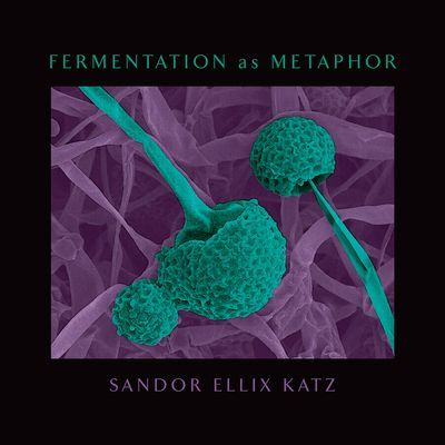 Fermentation as Metaphor (Katz Sandor Ellix)(Pevná vazba)