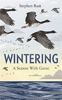 Wintering - A Season With Geese (Rutt Stephen)(Paperback / softback)