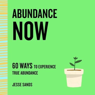 Abundance Now - 60 Ways to Experience True Abundance (Sands Jesse)(Paperback / softback)