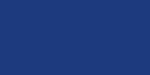 Rako COLOR TWO/POOL Dlažba, tmavě modrá, 19,7 x 9,7 cm / GAAD8005