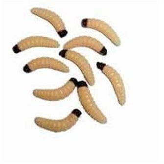 Behr imitace velkých červů Jumbo Worms (9085009)|SQO4000101