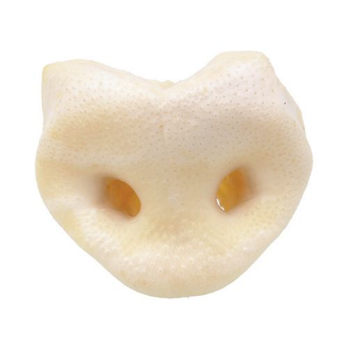 Rypáček RASCO vepřový bílý