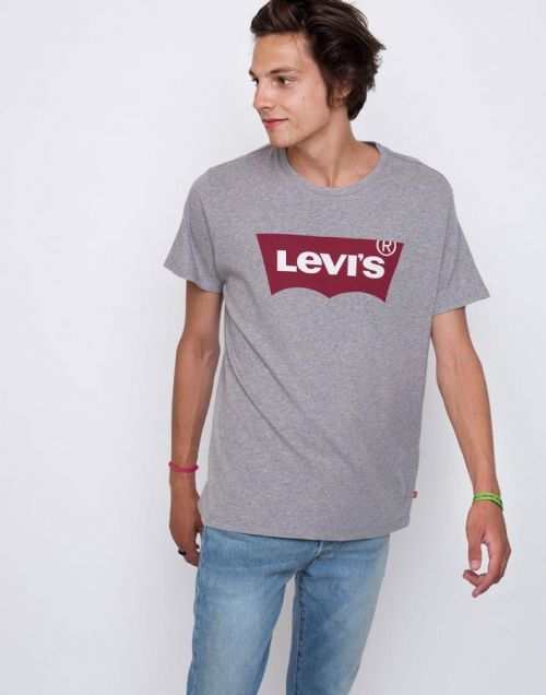Tričko LEVI'S Graphic Set-In Neck Šedá
