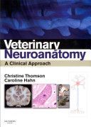 Veterinary Neuroanatomy - A Clinical Approach (Thomson Christine)(Paperback)