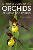 Pocket Guide to the Orchids of Britain and Ireland (Harrap Simon)(Paperback / softback)