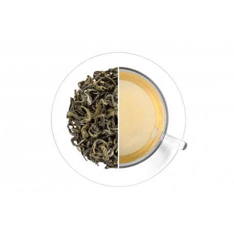 OXALIS Assam Green Tea OP 1kg
