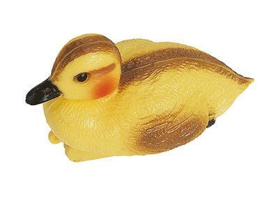 Pontec Pond Figure kace