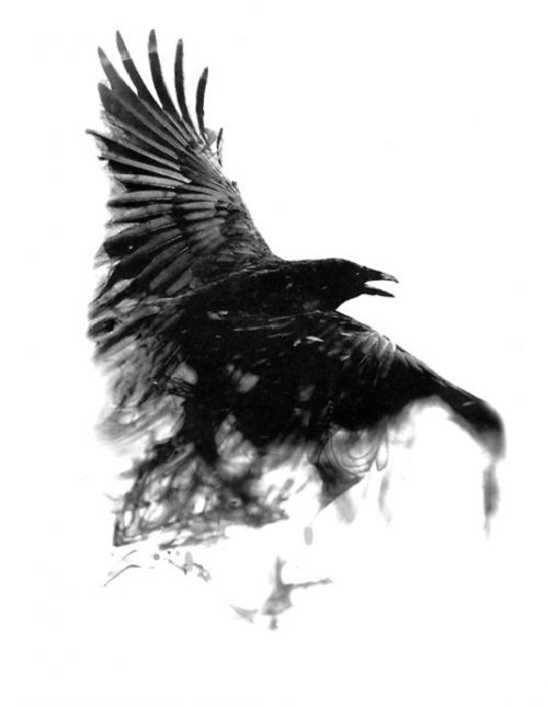 Dočasné tetování vrána