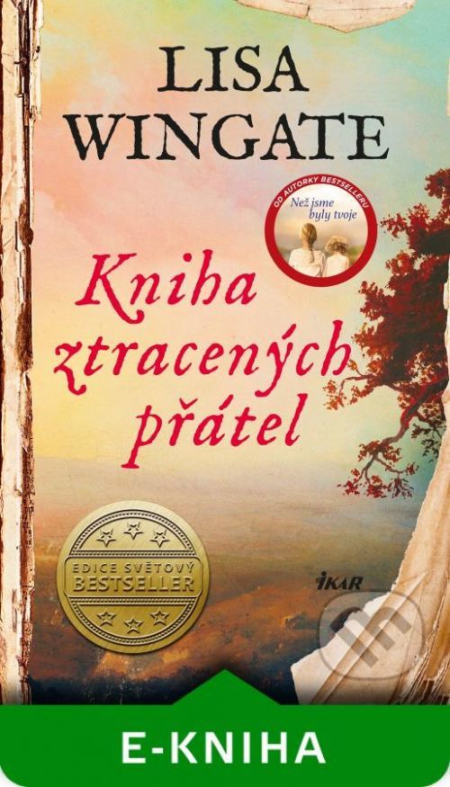 Kniha ztracených přátel - Lisa Wingate