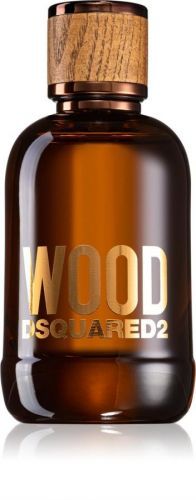 Dsquared2 Wood Pour Homme toaletní voda pro muže 100 ml
