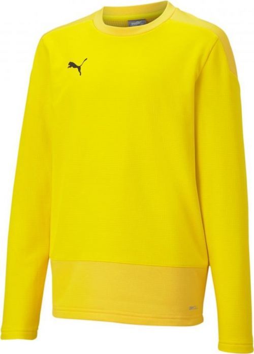 Mikina Puma teamGOAL 23 Training Sweat Jr