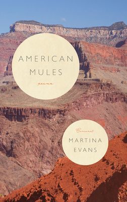 American Mules (Evans Martina)(Paperback / softback)