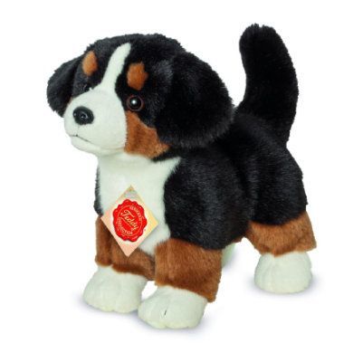 Teddy HERMANN Bernský salašnický pes štěně stojící, 23 cm