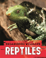Endangered Wildlife: Rescuing Reptiles (Ganeri Anita)(Paperback / softback)