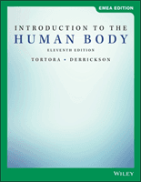 Introduction to the Human Body (Tortora Gerard J.)(Paperback / softback)