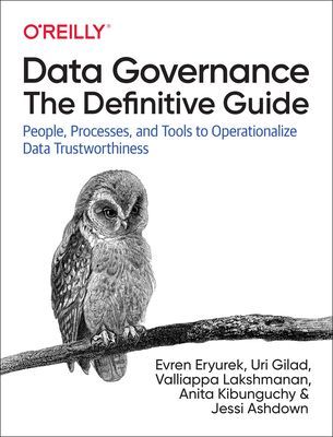 Data Governance: The Definitive Guide - People, Processes, and Tools to Operationalize Data Trustworthiness (Eryurek Evren)(Paperback / softback)