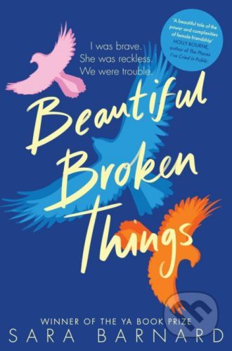 Beautiful Broken Things - Sara Barnard