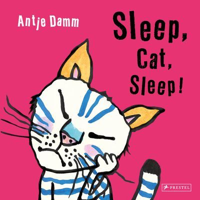 Sleep, Cat, Sleep! (Damm Antje)(Board book)
