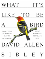 What It's Like to be a Bird (Sibley David Allen)(Pevná vazba)
