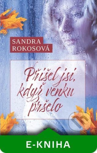 Přišel jsi, když venku pršelo - Sandra Rokosová