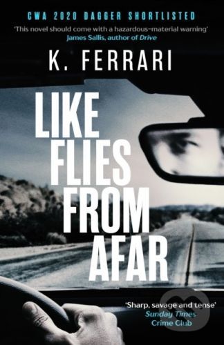 Like Flies from Afar - K. Ferrari