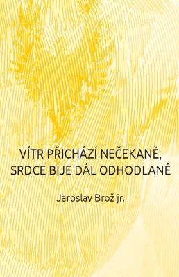 Vítr přichází nečekaně, srdce bije dál odhodlaně - Jaroslav Brož - e-kniha