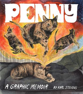 Penny - A Graphic Memoir (Stevens Karl)(Paperback / softback)