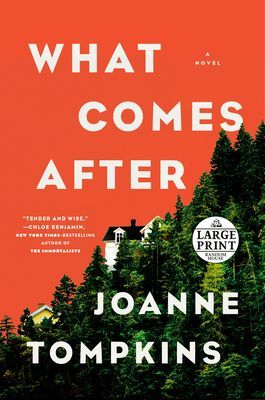 What Comes After (Tompkins JoAnne)(Paperback)