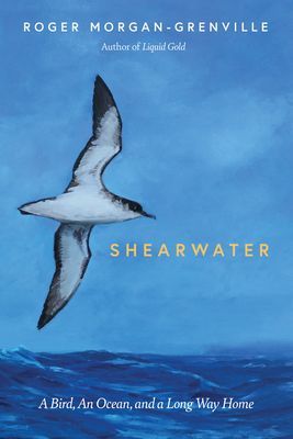 Shearwater - A Bird, an Ocean, and a Long Way Home (Morgan-Grenville Roger)(Pevná vazba)