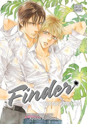 Finder Deluxe Edition: Honeymoon, Vol. 10 (Yamane Ayano)(Paperback / softback)