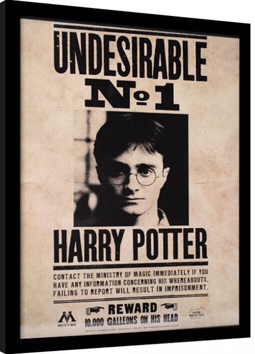 GRUPO ERIK Obraz na zeď - Harry Potter - Undesirable N.1