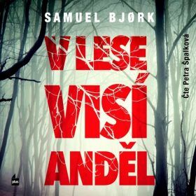 V lese visí anděl - Samuel Bjork - audiokniha