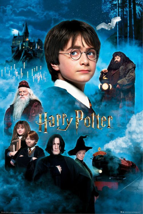 POSTERS Plakát, Obraz - Harry Potter - Kámen mudrců, (61 x 91.5 cm)