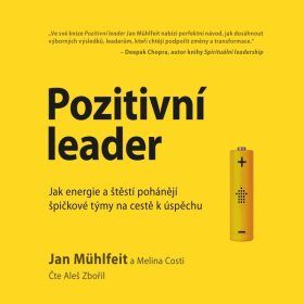 Pozitivní leader - audiokniha
