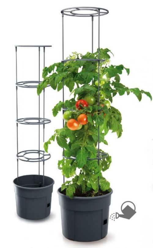 Prosperplast Květináč pro pěstování rajčat a jiných pnoucích rostlin, Grower antracit 29,5 cm