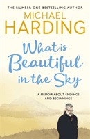 What is Beautiful in the Sky - A book about endings and beginnings (Harding Michael)(Paperback / softback)