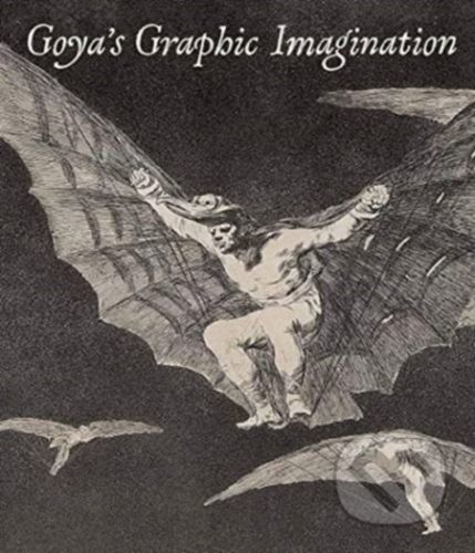 Goya's Graphic Imagination - Mark McDonald, Mercedes Cerón-Peña, Francisco J. R. Chaparro, Jesusa Vega