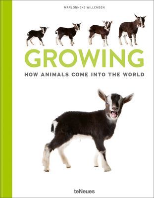 Growing - How animals come into our world (Marlownneke Willemsen)(Pevná vazba)
